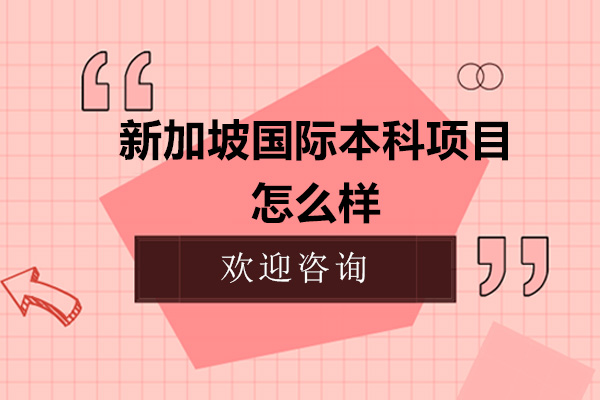 新加坡国际本科项目怎么样