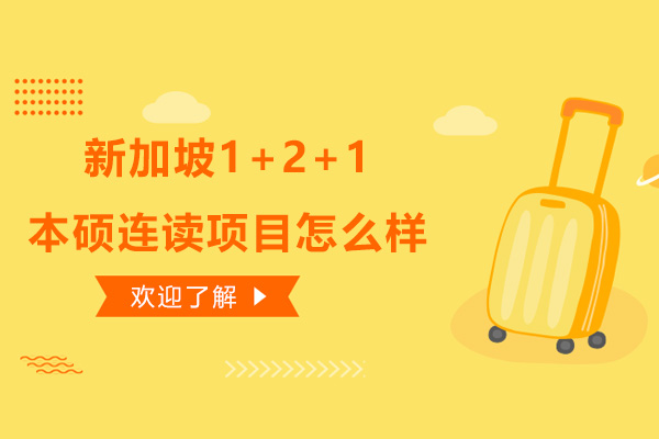 新加坡本硕连读项目深度解析