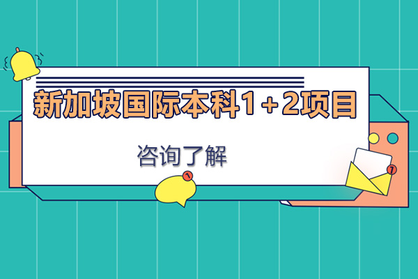 新加坡国际本科1+2项目怎么样