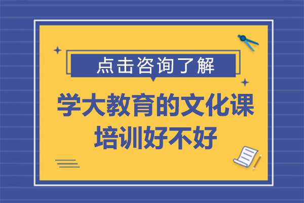 学大教育的文化课培训好不好