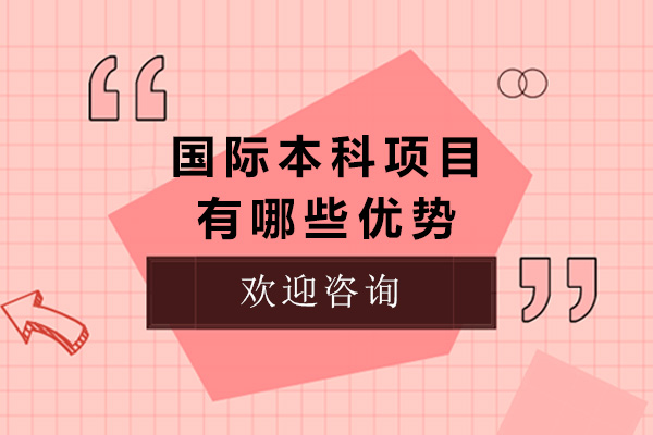 沪上国际本科项目深度解析