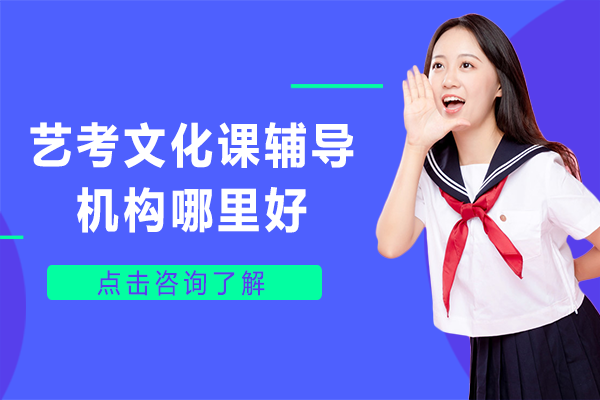 艺考文化课辅导机构哪里好