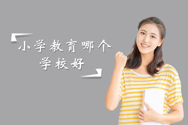北京市优质小学教育机构深度解析
