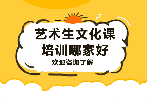 艺术生文化课培训哪家好
