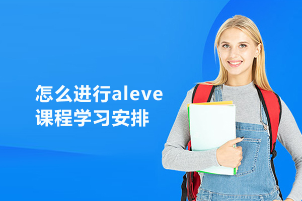怎么进行aleve课程学习安排