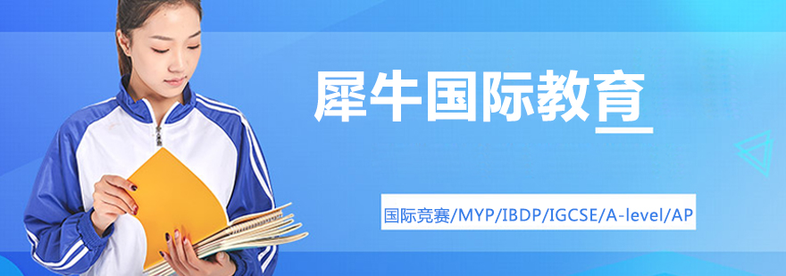 国际教育辅导