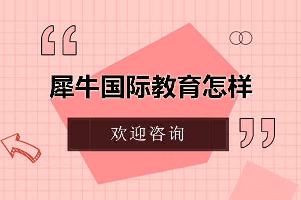 北京犀牛国际教育课程体系深度解析