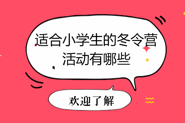 适合小学生的冬令营活动有哪些