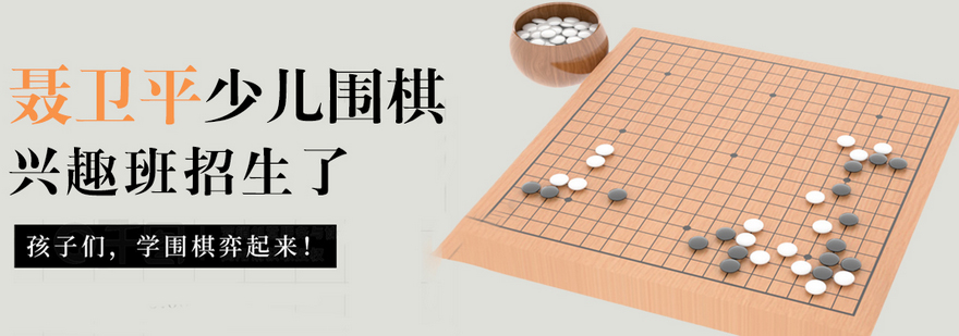 聂卫平围棋教学场景