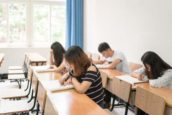 北外国际本科深度解析
