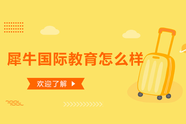 深圳犀牛国际教育深度解析