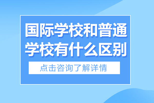 沪上国际学校与普通学校教育模式深度解析