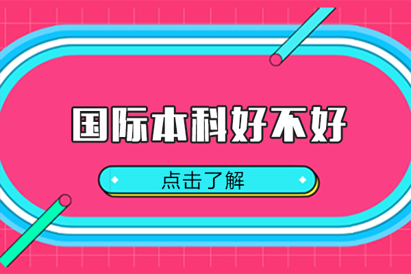 国际本科好不好