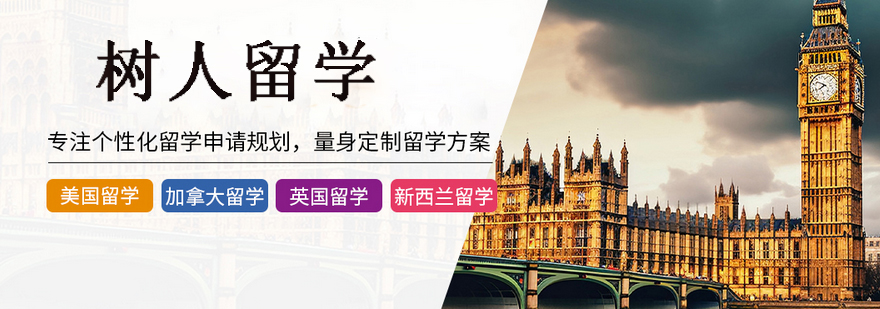 树人留学办公环境