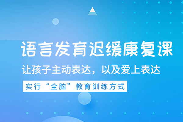 合肥儿童语言发育迟缓康复课程