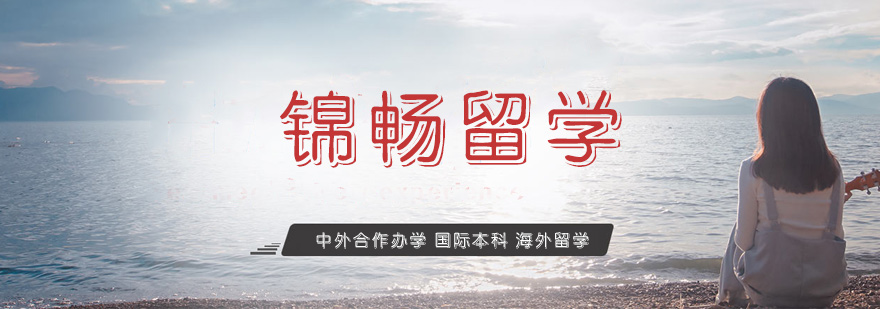 国际教育规划