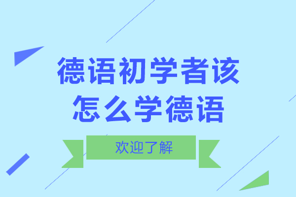 德语初学者该怎么学德语