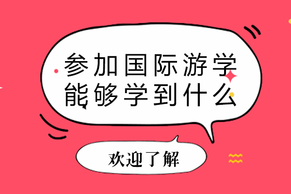 参加国际游学能够学到什么