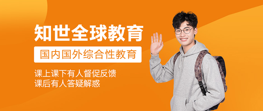 国际教育咨询服务