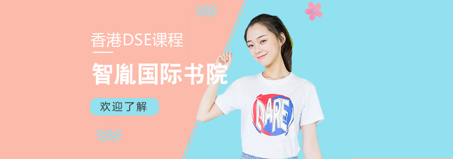 DSE课程教学实景