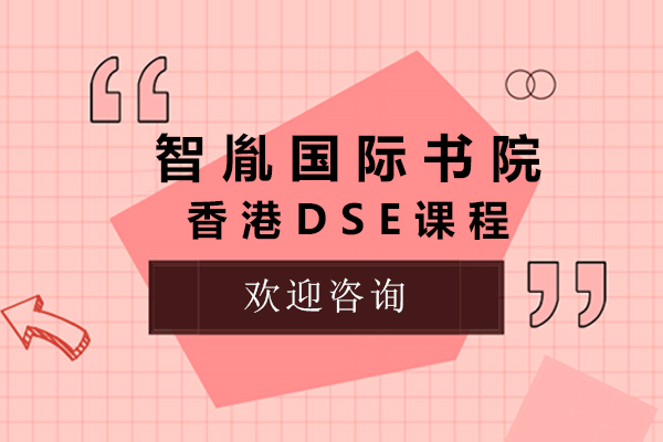 深圳智胤DSE国际班全解析