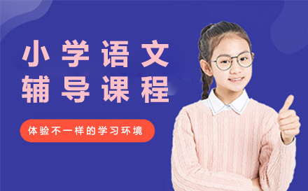 上海小学语文辅导课程