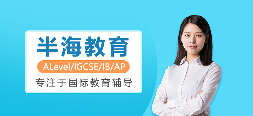 国际教育辅导