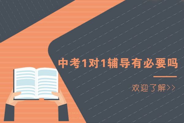 东莞中考个性化辅导深度解析