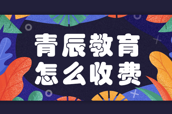 上海青辰教育課程收費全解析