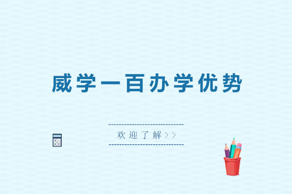 国际教育机构教学特色深度解析