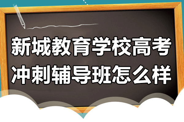 上海新城教育学校高考冲刺辅导班怎么样