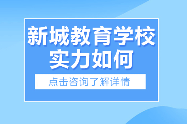 上海新城教育学校实力如何