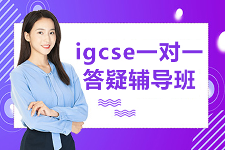 igcse一对一答疑辅导班