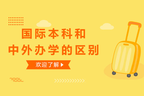 国际本科与中外合作办学深度对比解析
