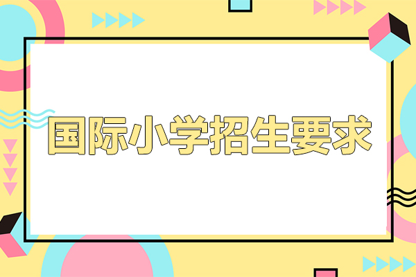 国际小学招生要求