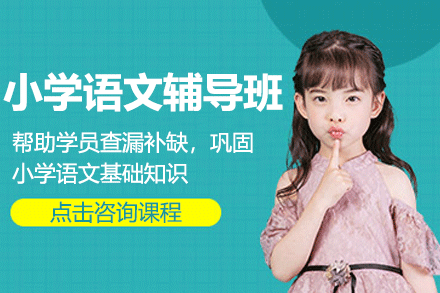 上海小学语文辅导班