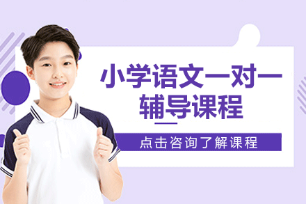上海小学语文一对一辅导课程