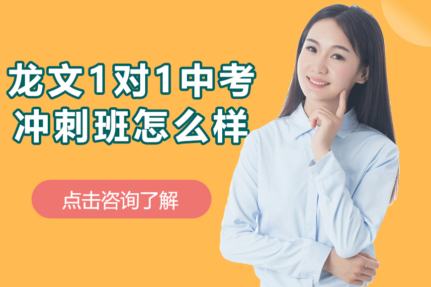 上海龙文1对1中考冲刺班怎么样