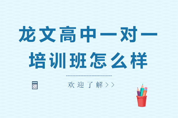 上海龙文高中一对一培训班怎么样