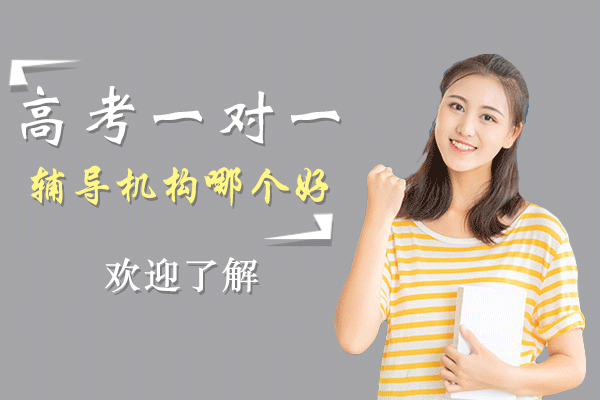 上海高考一对一辅导机构哪个好