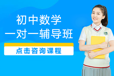 上海初中數(shù)學一對一輔導班