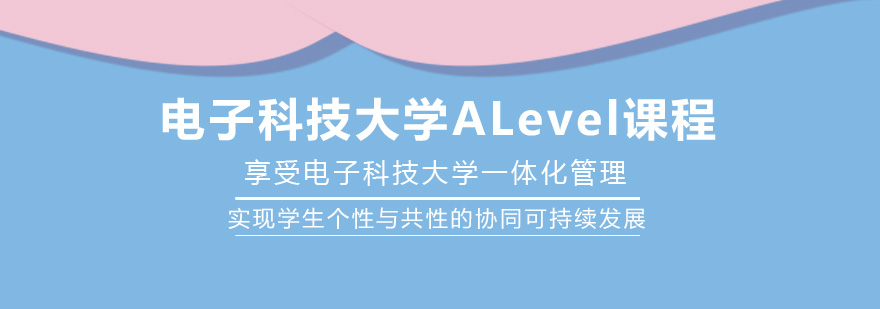 电子科大ALevel实验室
