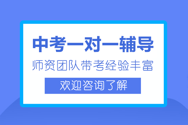 上海中考一对一辅导班