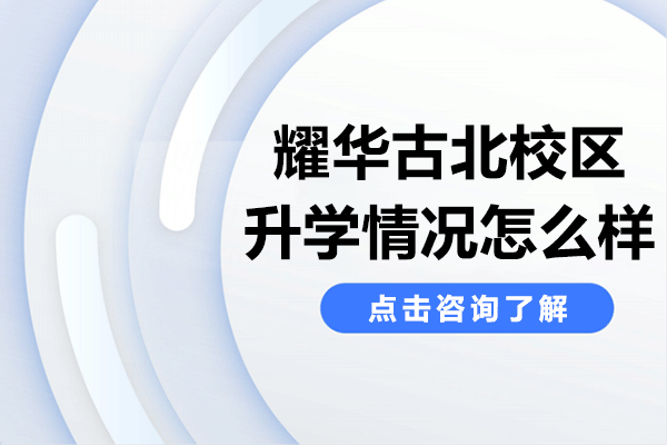上海耀华古北校区艺术与综合类大学录取成果深度解析