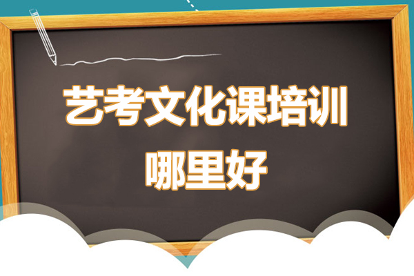 艺考文化课培训哪里好