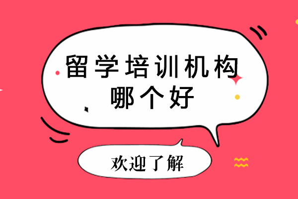 深圳留学机构深度解析