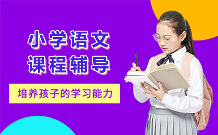 小学语文课程辅导