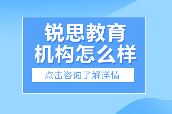 上海锐思教育课程体系深度解析