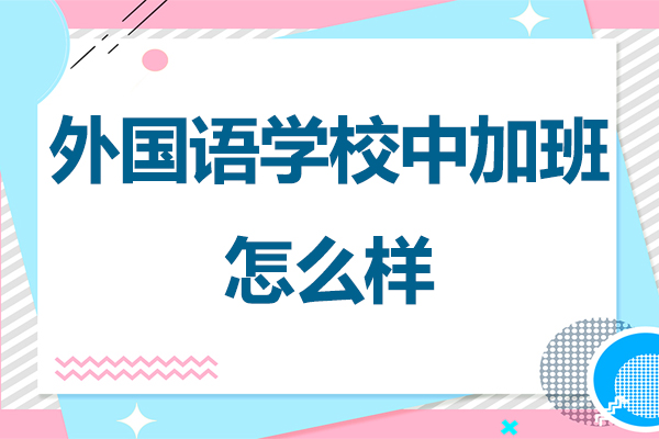 永康外国语学校中加班怎么样