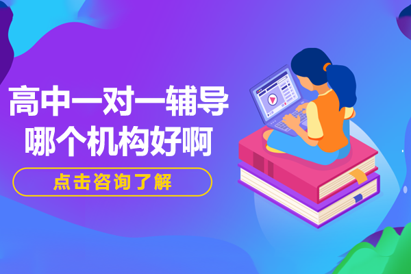 上海锐思教育高中定制化辅导深度解析